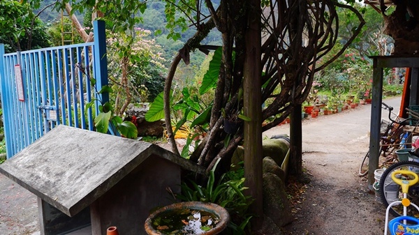 濛濛湖:【新北◍•ᴗ•◍新店】景點・濛濛湖、廣興河濱公園✯賞桐、賞螢秘境|昔日戀愛聖地遺留下的絕美景色