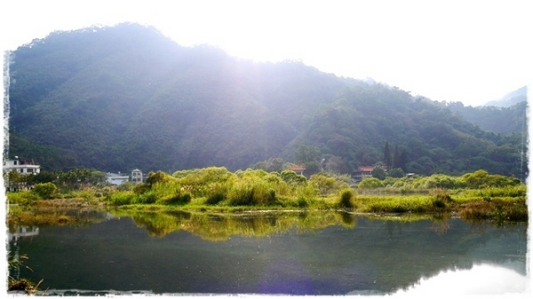 濛濛湖:【新北◍•ᴗ•◍新店】景點・濛濛湖、廣興河濱公園✯賞桐、賞螢秘境|昔日戀愛聖地遺留下的絕美景色