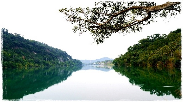 濛濛湖:【新北◍•ᴗ•◍新店】景點・濛濛湖、廣興河濱公園✯賞桐、賞螢秘境|昔日戀愛聖地遺留下的絕美景色
