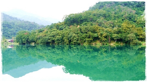濛濛湖:【新北◍•ᴗ•◍新店】景點・濛濛湖、廣興河濱公園✯賞桐、賞螢秘境|昔日戀愛聖地遺留下的絕美景色