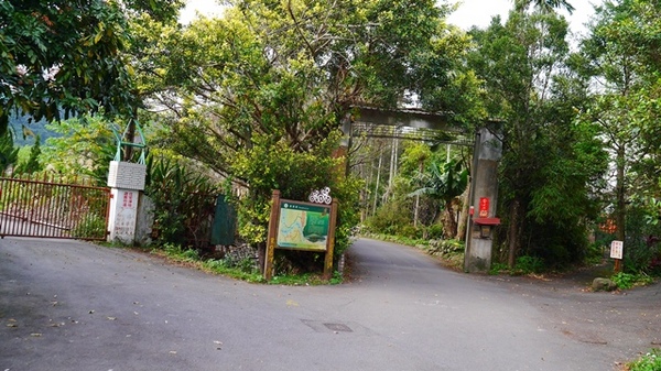 濛濛湖:【新北◍•ᴗ•◍新店】景點・濛濛湖、廣興河濱公園✯賞桐、賞螢秘境|昔日戀愛聖地遺留下的絕美景色