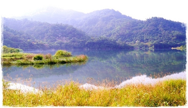 濛濛湖:【新北◍•ᴗ•◍新店】景點・濛濛湖、廣興河濱公園✯賞桐、賞螢秘境|昔日戀愛聖地遺留下的絕美景色
