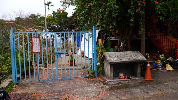 濛濛湖:【新北◍•ᴗ•◍新店】景點・濛濛湖、廣興河濱公園✯賞桐、賞螢秘境|昔日戀愛聖地遺留下的絕美景色