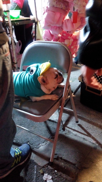 精誠夜市:彰化最大~ 名字最多的