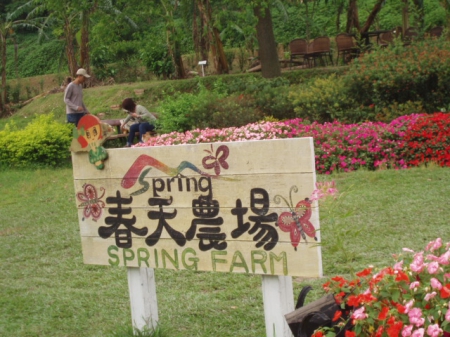 春天農場-春天香草廚房：菲力牛排五分熟