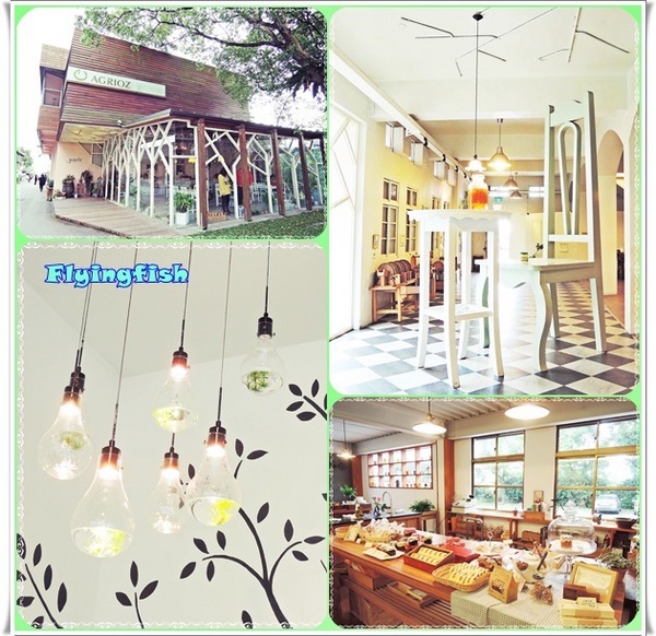 窯烤山寨村:✜ 宜蘭員山「窯烤山寨村+亞典蛋糕密碼館+橘之鄉蜜餞形象館」三個景點,一次滿足◕ω◕!!