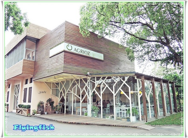 窯烤山寨村:✜ 宜蘭員山「窯烤山寨村+亞典蛋糕密碼館+橘之鄉蜜餞形象館」三個景點,一次滿足◕ω◕!!