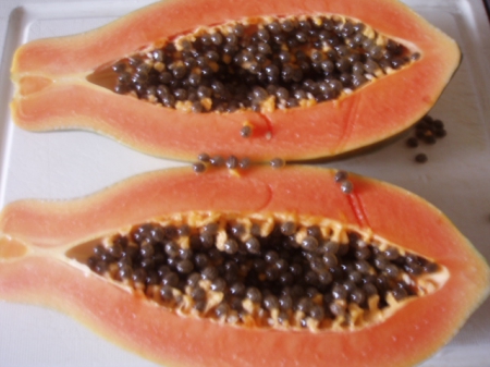 台西水果：台西水果˙24小時不打烊