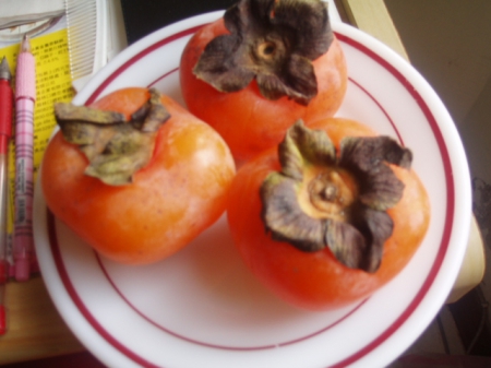 台西水果：台西水果˙24小時不打烊