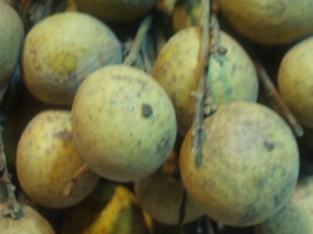 台西水果：台西水果˙24小時不打烊