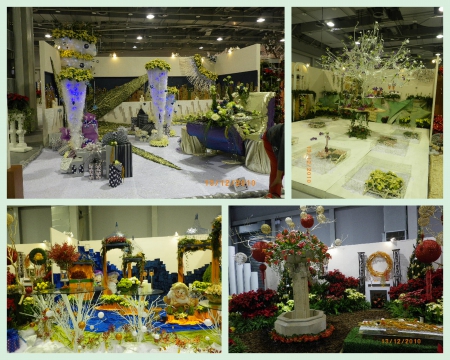 2010台北國際花卉博覽會(圓山園區):群花競技【爭艷館】