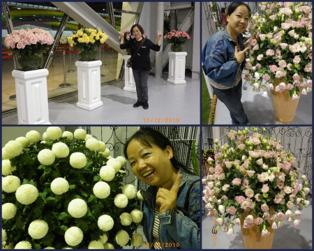 2010台北國際花卉博覽會(圓山園區):群花競技【爭艷館】