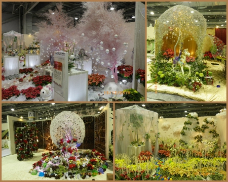 2010台北國際花卉博覽會(圓山園區):群花競技【爭艷館】