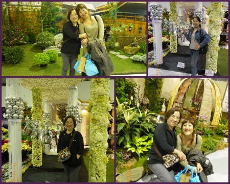 2010台北國際花卉博覽會(圓山園區):群花競技【爭艷館】