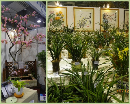 2010台北國際花卉博覽會(圓山園區):群花競技【爭艷館】