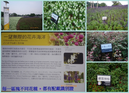 2010台北國際花卉博覽會(圓山園區)：台北花博˙再忙也要來瞧瞧(圓山區)