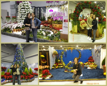 2010台北國際花卉博覽會(圓山園區):群花競技【爭艷館】