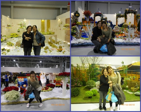 2010台北國際花卉博覽會(圓山園區):群花競技【爭艷館】