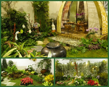 2010台北國際花卉博覽會(圓山園區):群花競技【爭艷館】