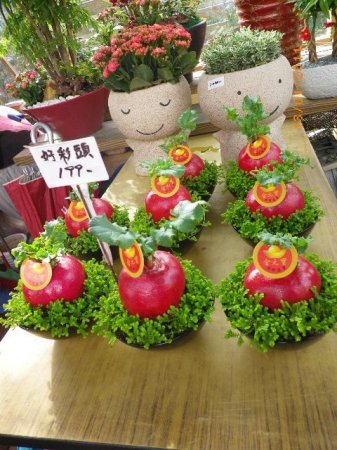 愛買花坊:盆栽換裝迎新年