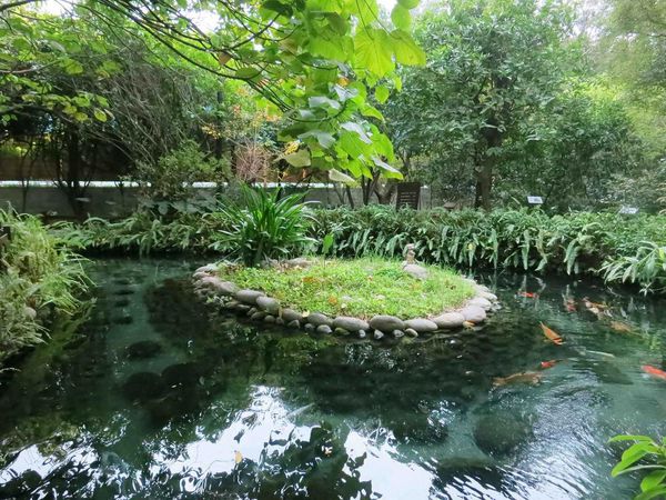 【桃園旅遊】義美食品觀光工廠-義美觀光之旅