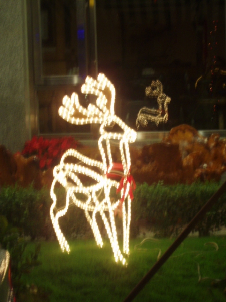 花蓮港親水遊憩區：花蓮港[迴瀾客棧]的夜景