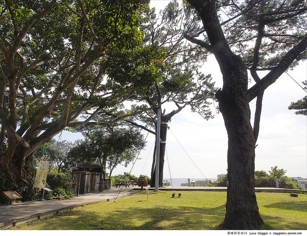 松園別館(Pine Garden):【花蓮 Hualien】松園別館 松林圍繞的日式老建築 午後下午茶時光 Pinegarden