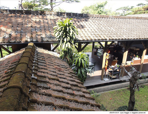 松園別館(Pine Garden):【花蓮 Hualien】松園別館 松林圍繞的日式老建築 午後下午茶時光 Pinegarden