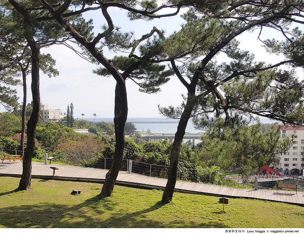 松園別館(Pine Garden):【花蓮 Hualien】松園別館 松林圍繞的日式老建築 午後下午茶時光 Pinegarden