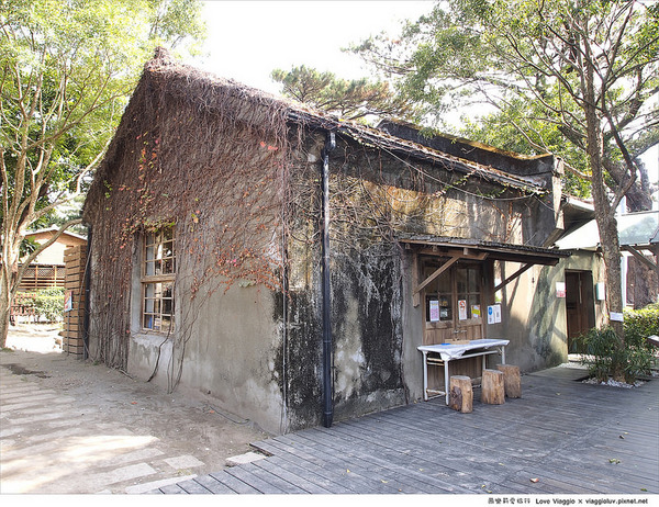 松園別館(Pine Garden):【花蓮 Hualien】松園別館 松林圍繞的日式老建築 午後下午茶時光 Pinegarden