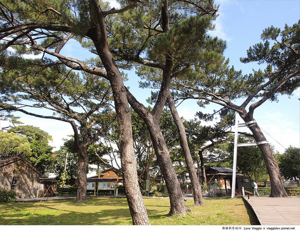 松園別館(Pine Garden):【花蓮 Hualien】松園別館 松林圍繞的日式老建築 午後下午茶時光 Pinegarden