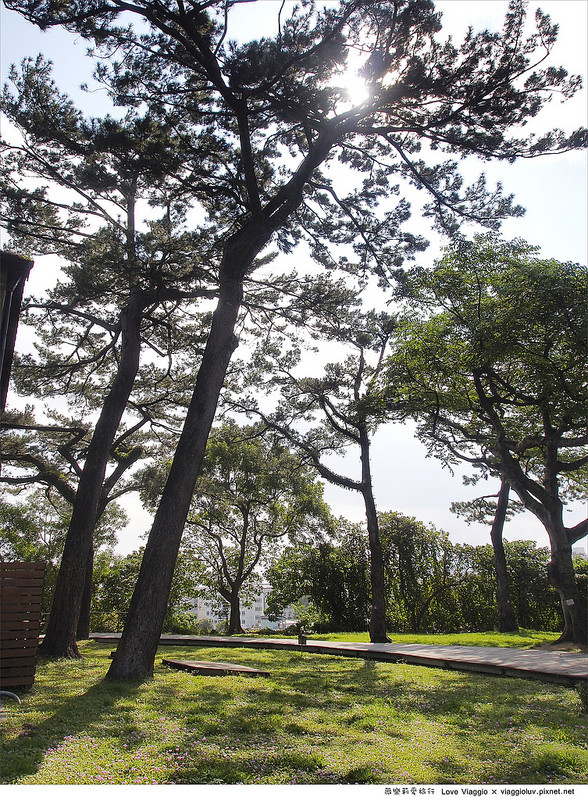 松園別館(Pine Garden):【花蓮 Hualien】松園別館 松林圍繞的日式老建築 午後下午茶時光 Pinegarden