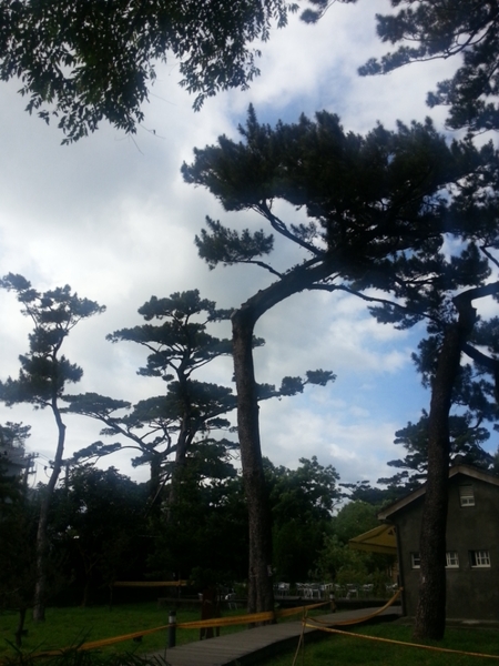 松園別館(Pine Garden):【花蓮旅遊】2015年6月到松園別館來文藝一下吧!
