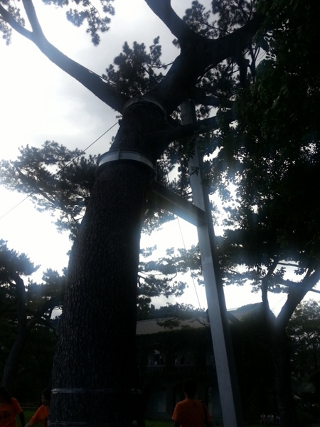 松園別館(Pine Garden):【花蓮旅遊】2015年6月到松園別館來文藝一下吧!