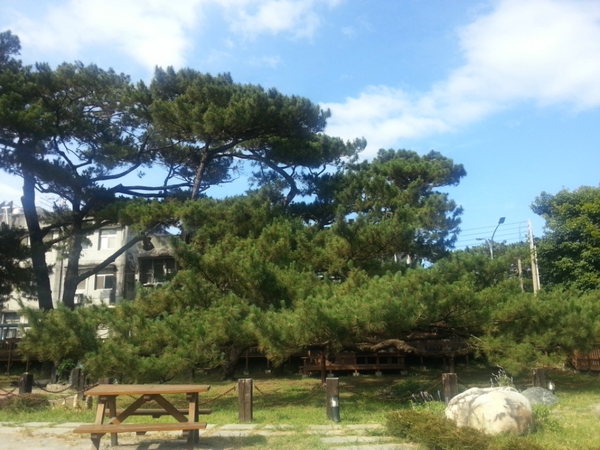 松園別館(Pine Garden):【花蓮旅遊】2015年6月到松園別館來文藝一下吧!