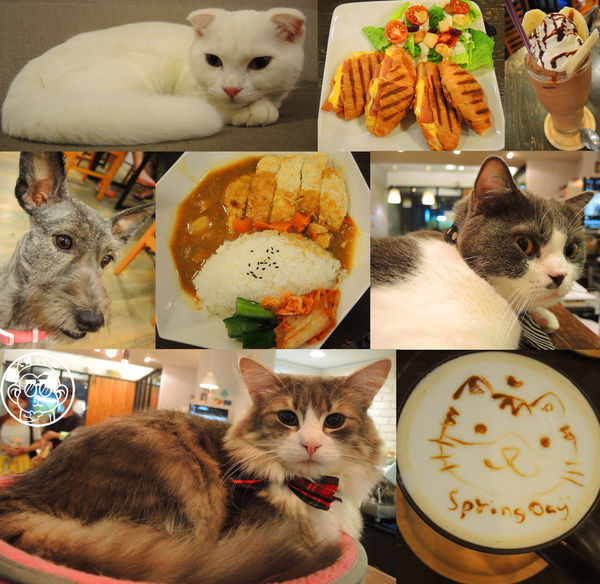 小春日和 動物雜貨:呷飽祙【台北松山・小春日和】結合寵物美容的複合式咖啡廳