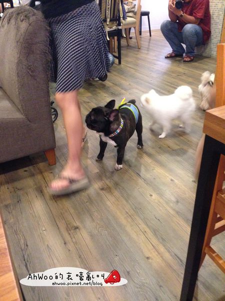 相片 2014-8-16 下午4 32 10