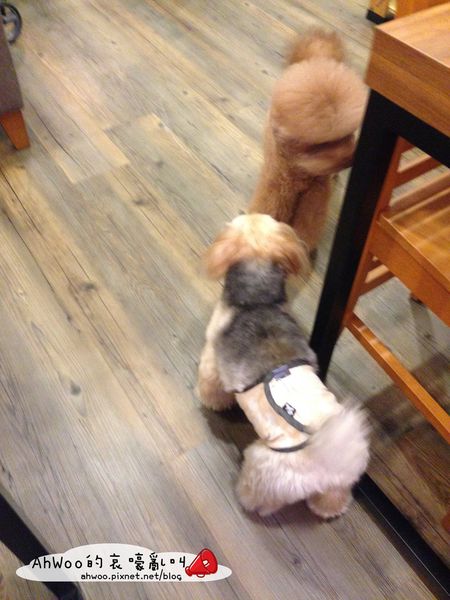 相片 2014-8-16 下午4 31 14