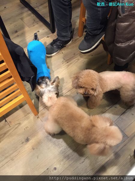 2015-02-14 17.57.39.jpg