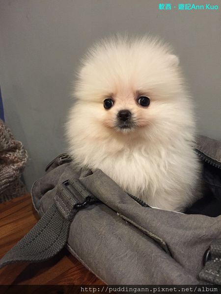 2015-02-14 17.44.12.jpg