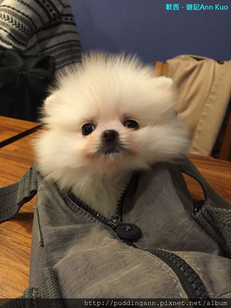 2015-02-14 17.36.22.jpg