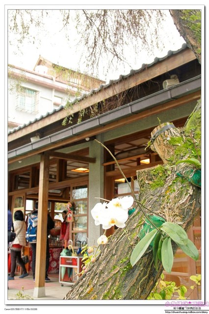 慶修院:【花蓮景點】☼ 吉安慶修院 ☼ 彷彿置身於日本神社/第三級古蹟/八十八尊石佛 ♥♥