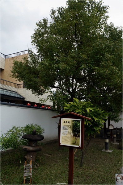 花蓮吉安慶修院：[花蓮爆點一日遊]花蓮 慶修院~不用飛日本也能參拜日本神社