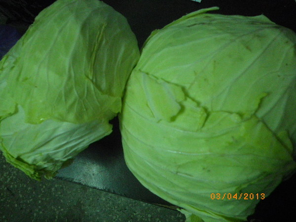 海口水果平價中心:海口蔬果價廉物美