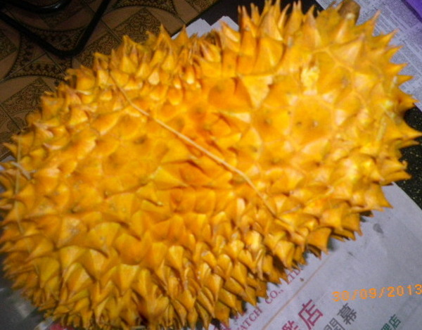 海口水果平價中心：好吃的榴槤˙難以抗拒的香氣