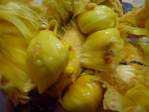 海口水果平價中心:鮮見的水果-榴槤蜜-絕妙的滋味