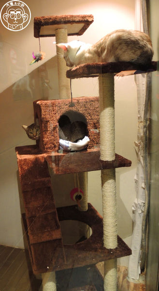 極簡咖啡館:呷飽祙【台北大安・極簡咖啡】萌店長們駐店迎接你