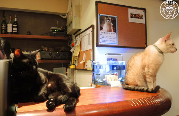 極簡咖啡館:呷飽祙【台北大安・極簡咖啡】萌店長們駐店迎接你