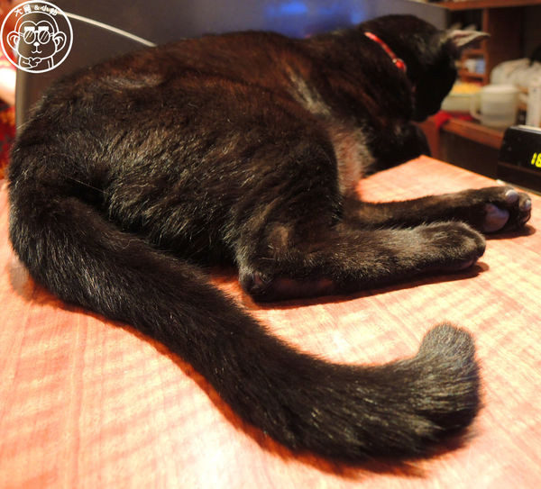 極簡咖啡館:呷飽祙【台北大安・極簡咖啡】萌店長們駐店迎接你