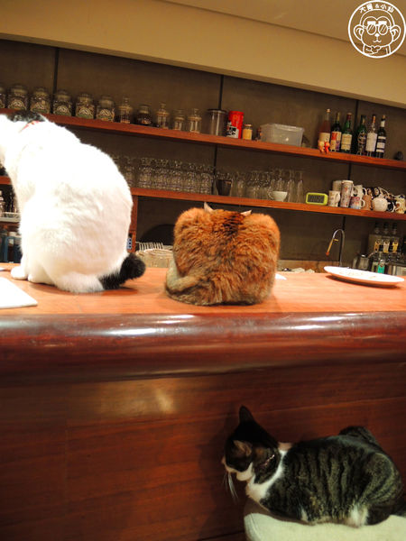 極簡咖啡館:呷飽祙【台北大安・極簡咖啡】萌店長們駐店迎接你